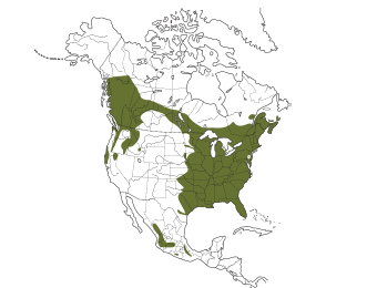 Barred Owl Range