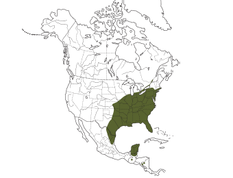 Carolina Wren Range