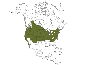 House Wren Range