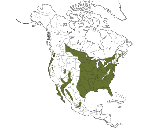 Purple Martin Range