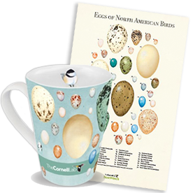 Gift egg mug and poster