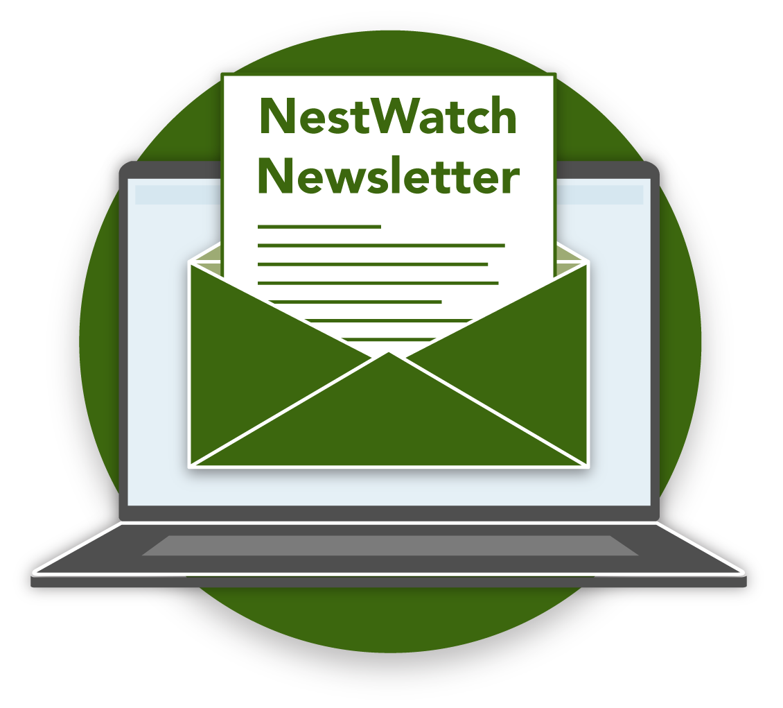 Nestwatch newsletter email