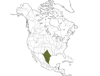 Black-crested Titmouse Range