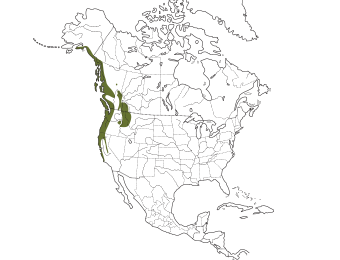 Chestnut-backed Chickadee Range