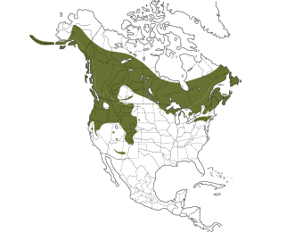 Common Merganser Range