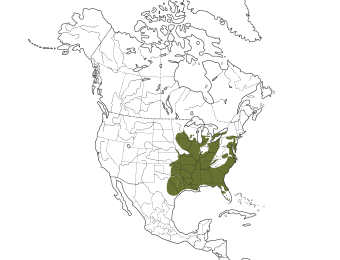 Prothonotary Warbler Range
