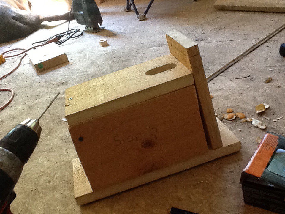 NestWatch Birdhouse building NestWatch