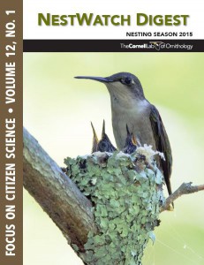 NestWatch Annual Report 2016 cover