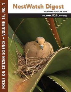Cover photo of the NestWatch Digest