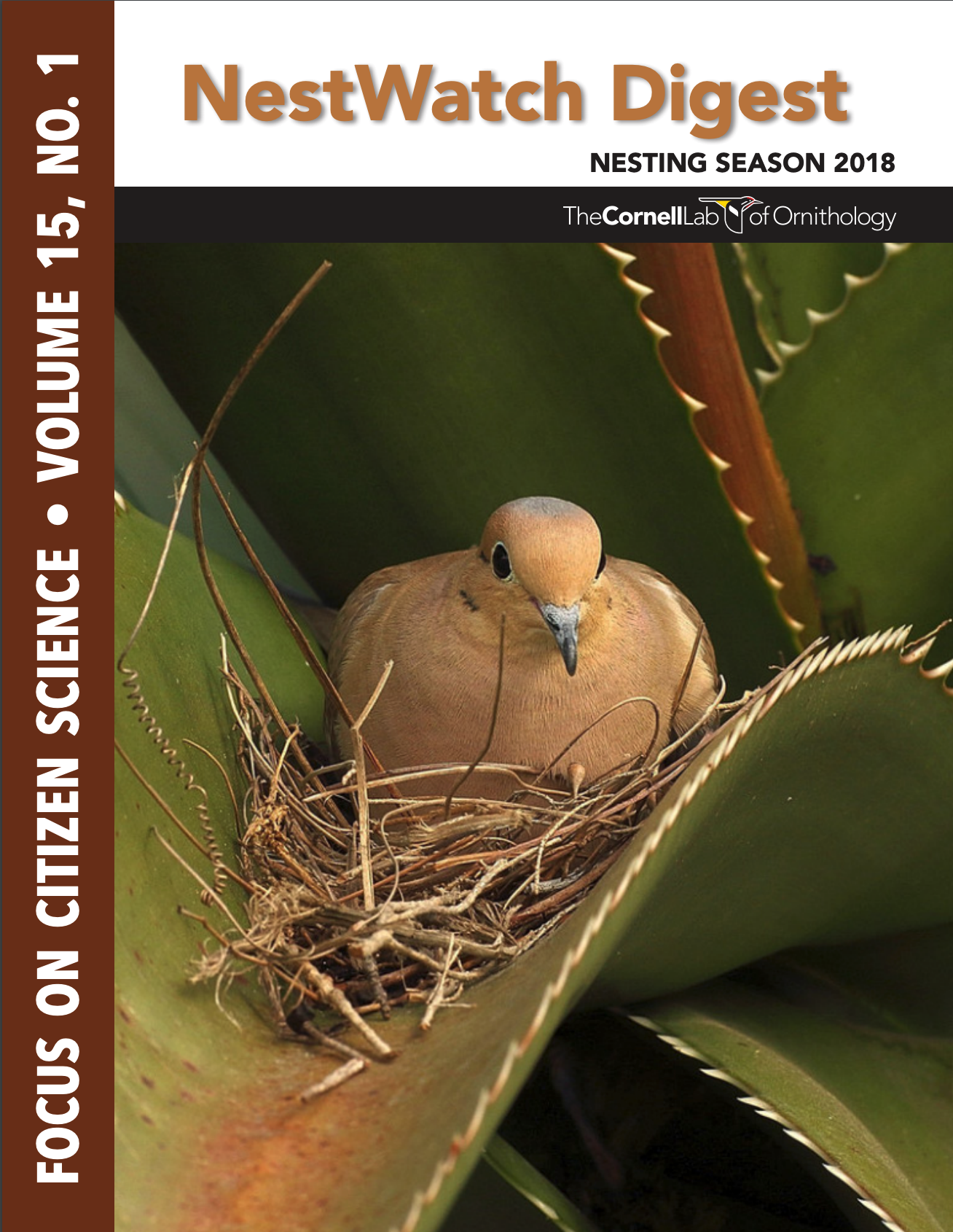 nestwatch 2018 annual report