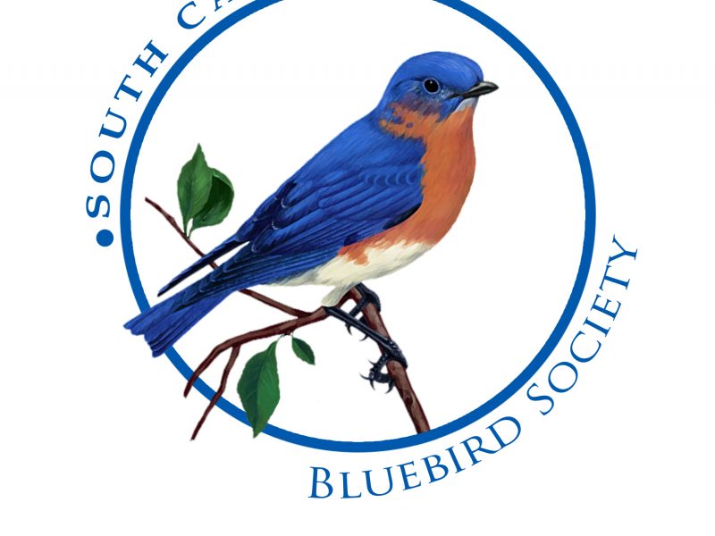 South Carolina Bluebird Society logo