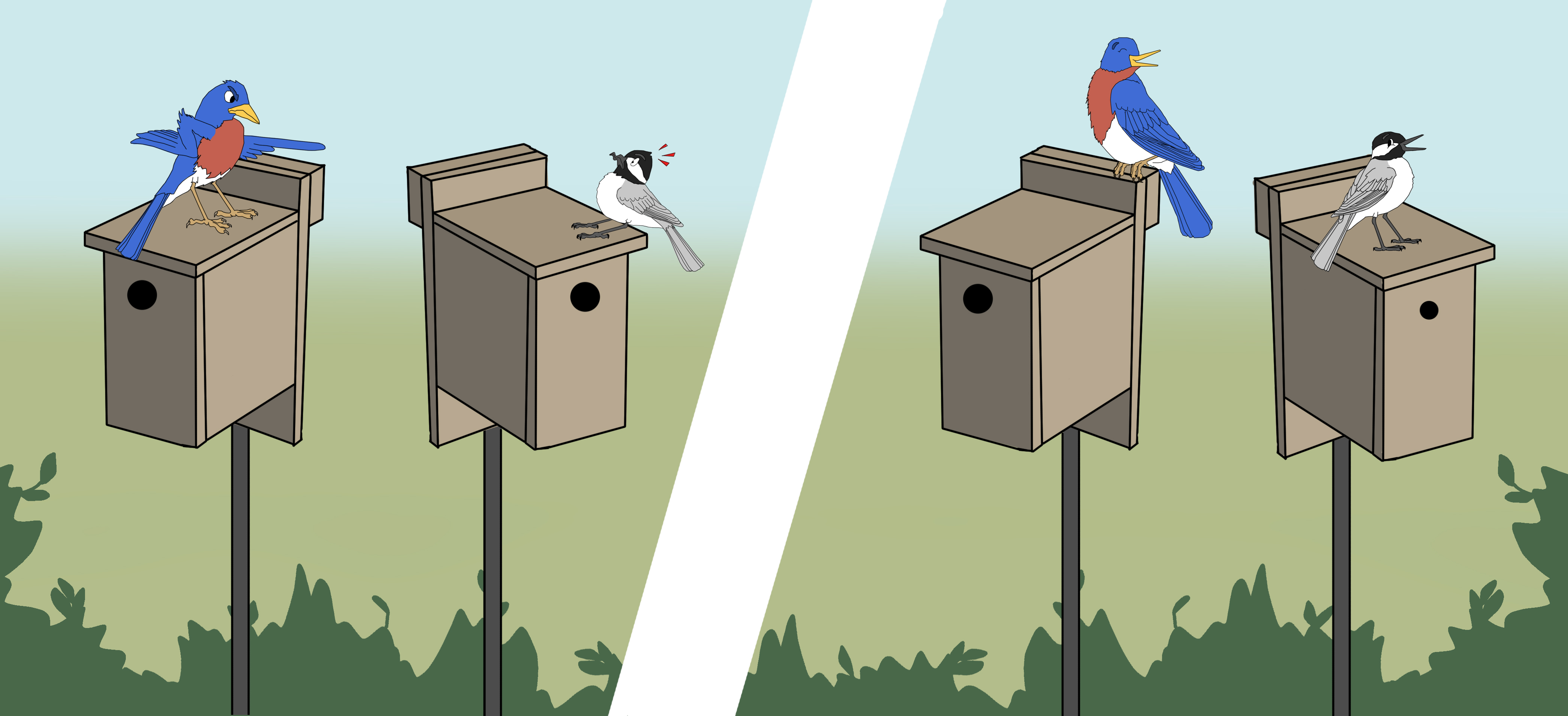 2 Cedar Nesting Boxes Titmouse... Bird House Bluebirds for Robins Cardinals 