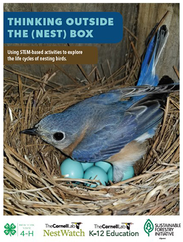 Curriculum cover, featuring an eastern bluebird incubating her eggs