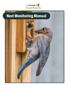 cover of nestwatch manual depicting a bluebird feeding her young at the entrance of a nest box