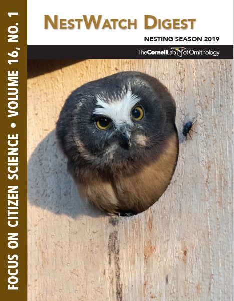 Cover of the NestWatch Digest with Northern Saw-Whet Owl