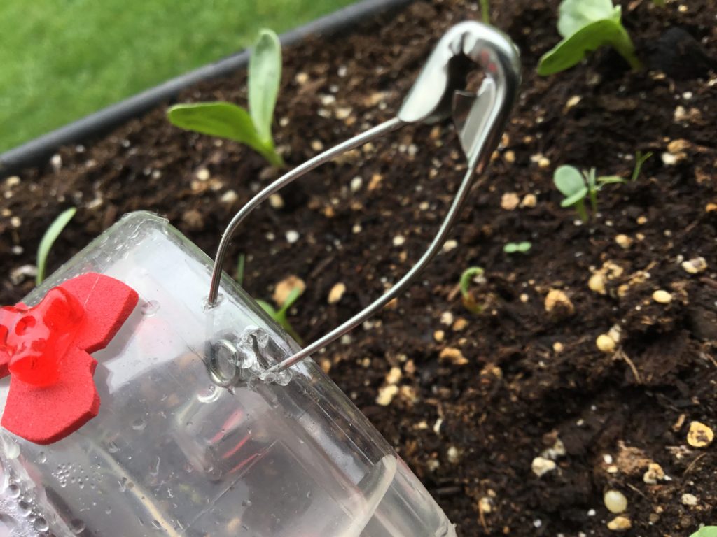 NestWatch How to build a DIY hummingbird feeder out of a plastic