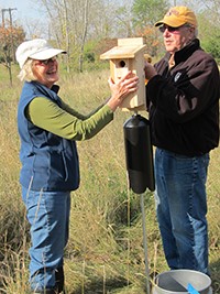 two people installing a nest box with a stovepipe predator guard in an open field.