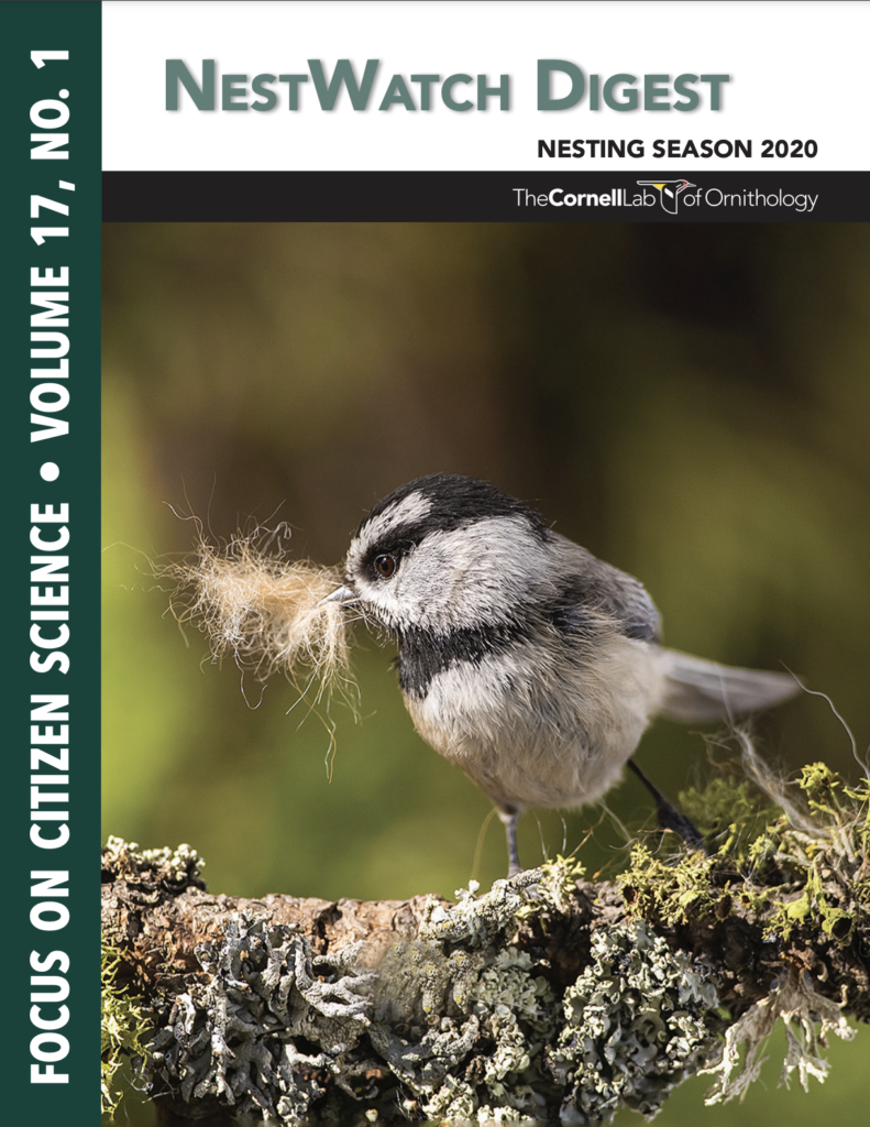 NestWatch Digest 2020 cover