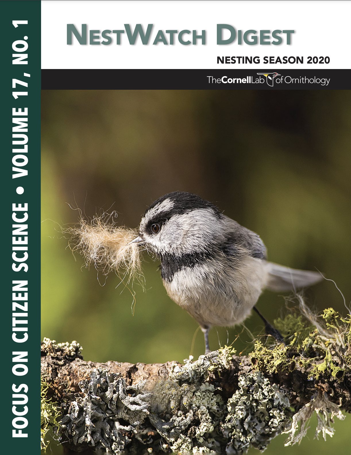 NestWatch 2020 annual report