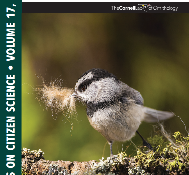 Front page of the NestWatch Digest, featuring a Mountain Chickadee