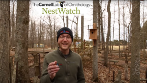 a man standing in front of a nest box and talking to the camera