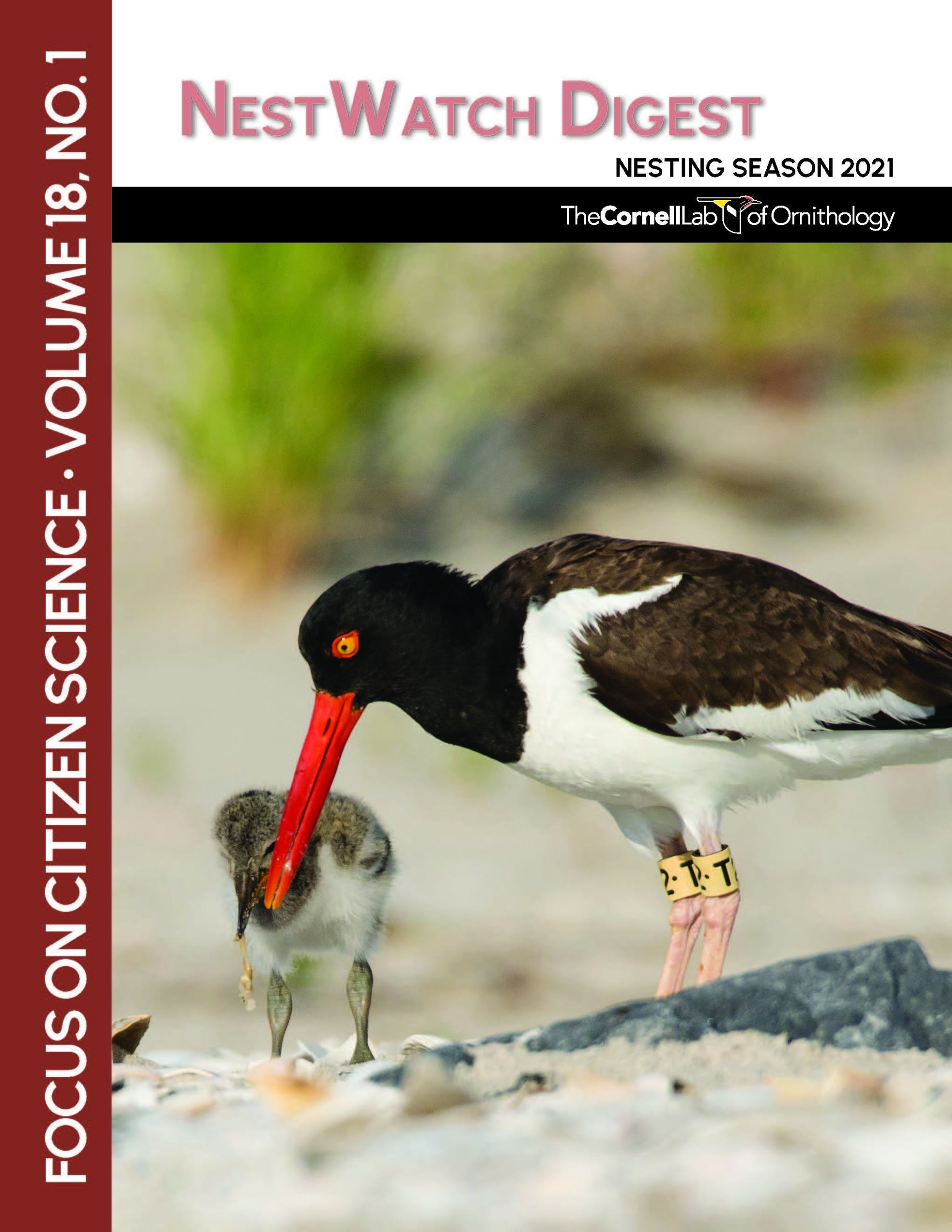 NestWatch 2021 annual report