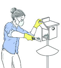 An illustration of a woman cleaning out a nest box with a mask on and wearing gloves