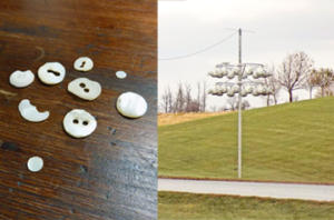 two images juxtaposed: on the left is several pieces of white pearlescent buttons on a dark wooden tabletop, on the right is a yard with a pole that is hosting many white martin gourds