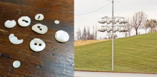 two images juxtaposed: on the left is several pieces of white pearlescent buttons on a dark wooden tabletop, on the right is a yard with a pole that is hosting many white martin gourds