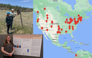 three photos edited together, one of two monitors checking a nest box in colorado, one of a woman next to a research poster, and one is a screenshot of google maps with markers denoting Chapter locations.