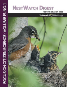 the cover of the NestWatch Digest, featuring a photo of an American Robin feeding her nestlings in the nest.