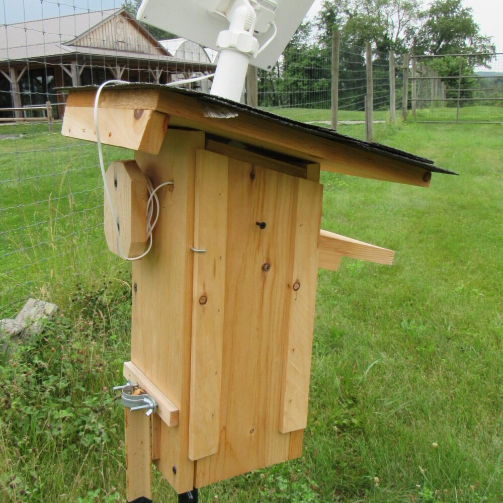 Back view of a nest box with a solar-powered camera mounted on top