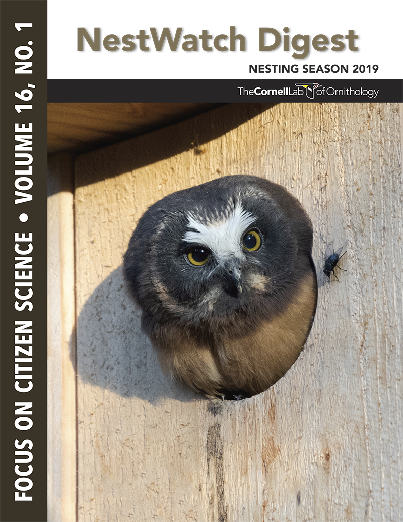 Cover of the NestWatch Digest with Northern Saw-Whet Owl