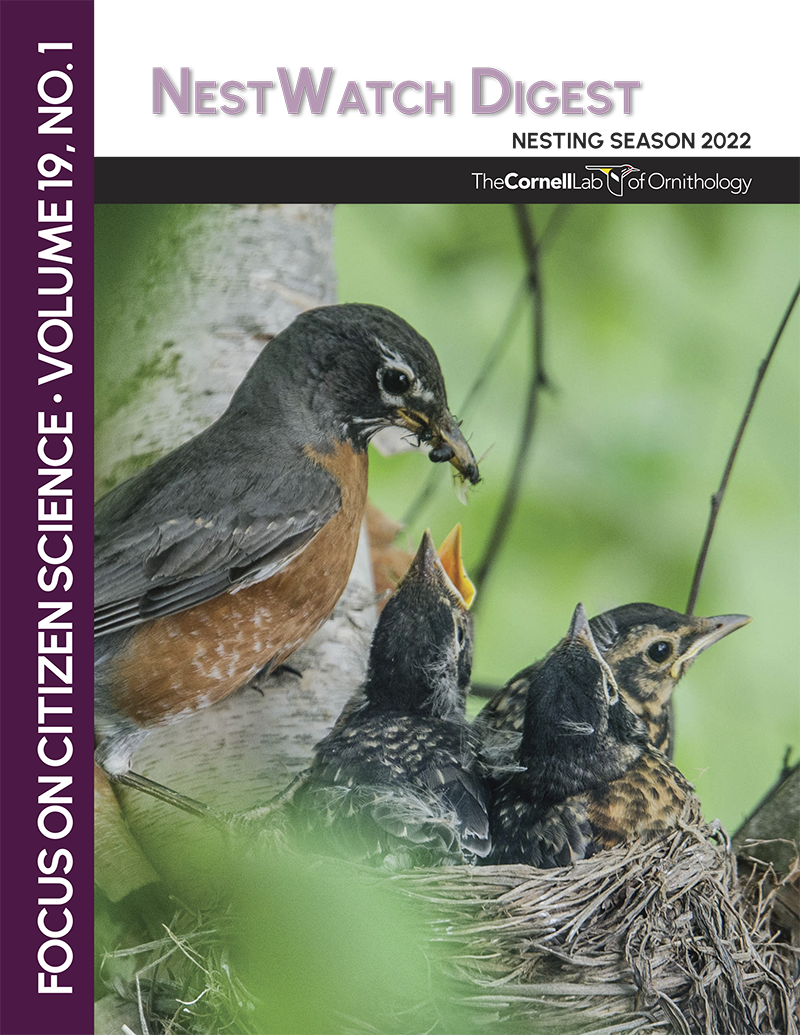 cover image of the NestWatch Digest for the 2022 breeding season, featuring an american robin nest