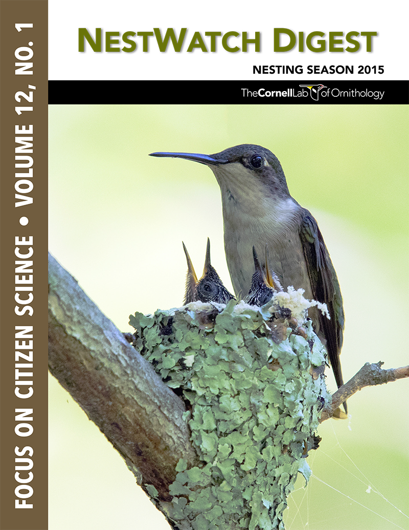 cover of the NestWatch Digest or the 2015 breeding season,featuring photo of a hummingbird nest