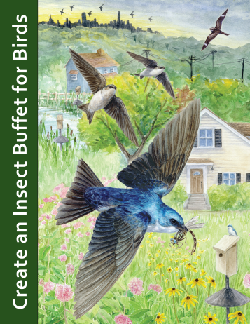 cover page of the document titled "creating an insect buffet for birds". The title is displayed vertically on the left side of an illustrated image. the image features 3 tree swallows and a nighthawk flying over a suburban landscape with houses and flower gardens and nest boxes, with a silhouetted city landscape in the background, with silhouettes of chimney swifts swirling above the buildings.