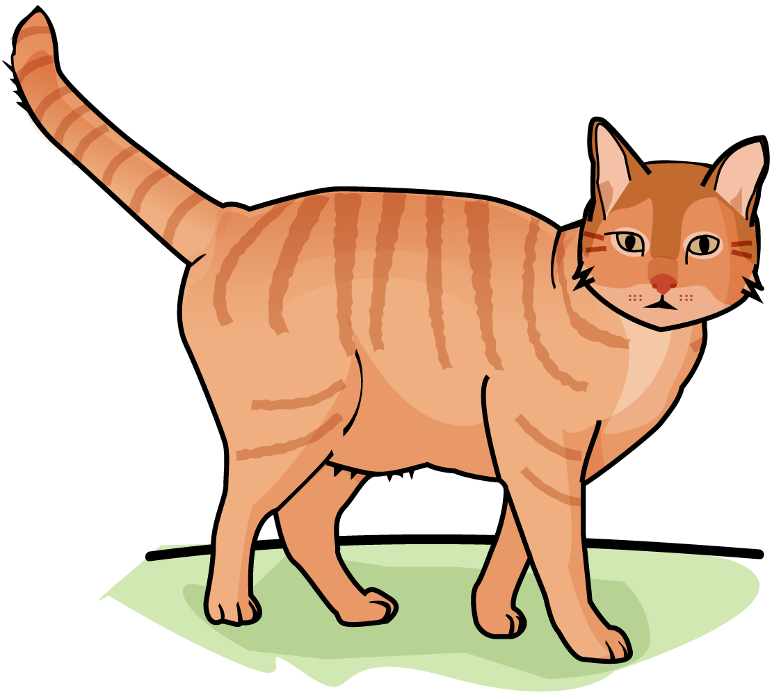 illustration of a cat