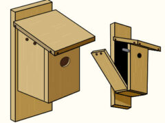 illustrated wooden nest boxes; one has its door open on a hinge.