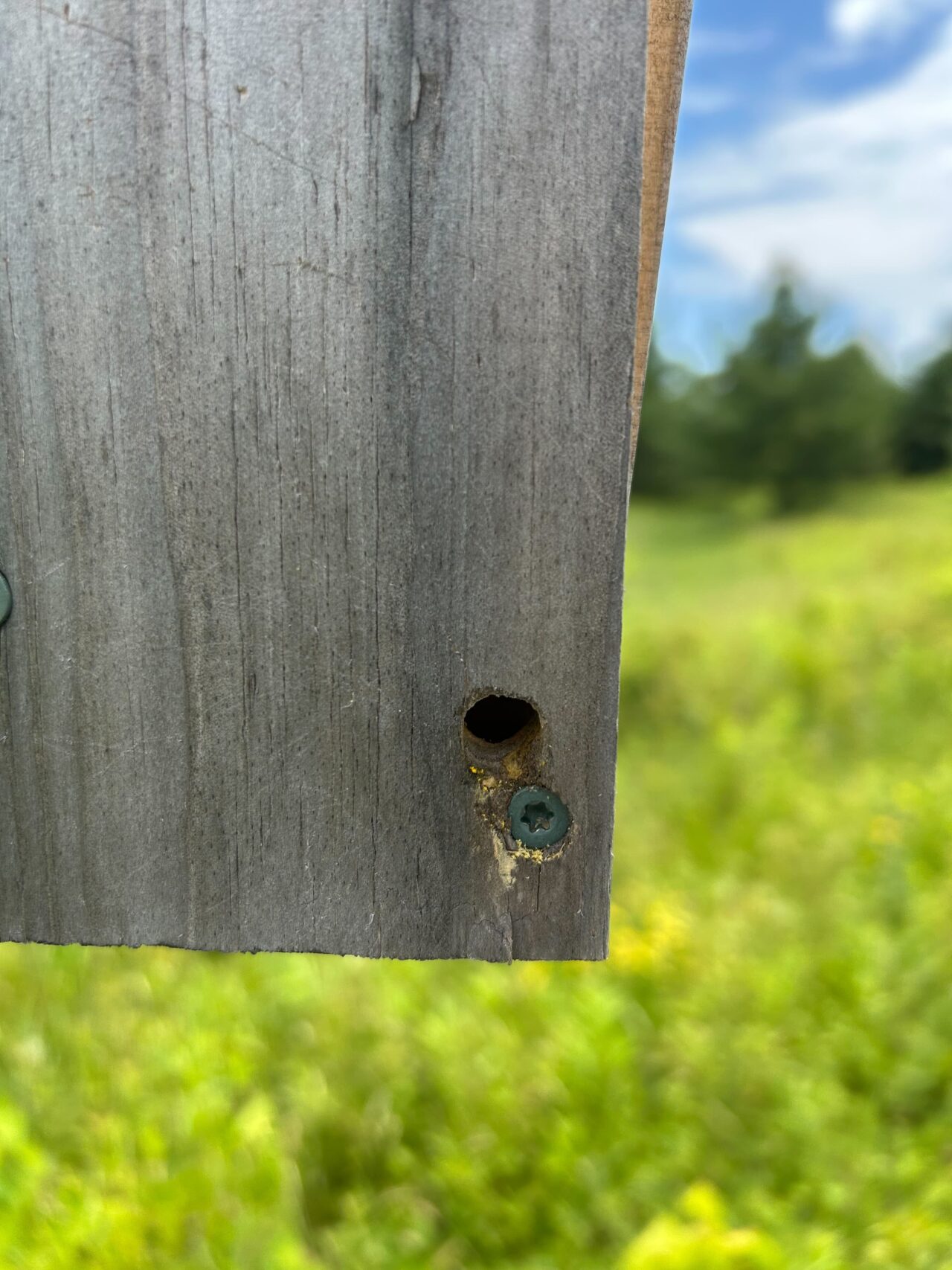 That's No Ventilation Hole