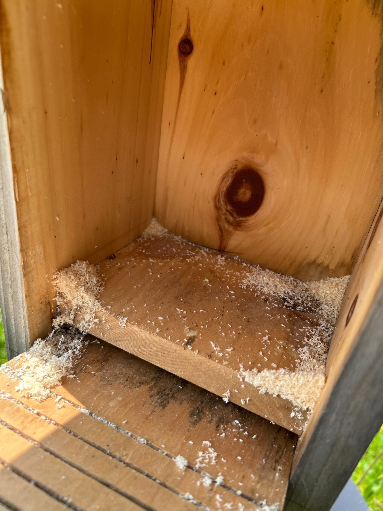 Fresh Sawdust