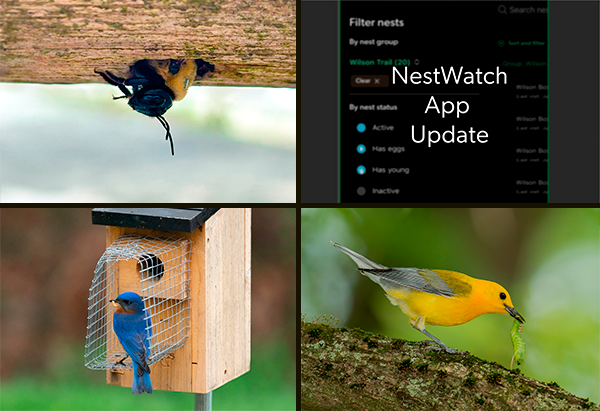 June 2025 eNews