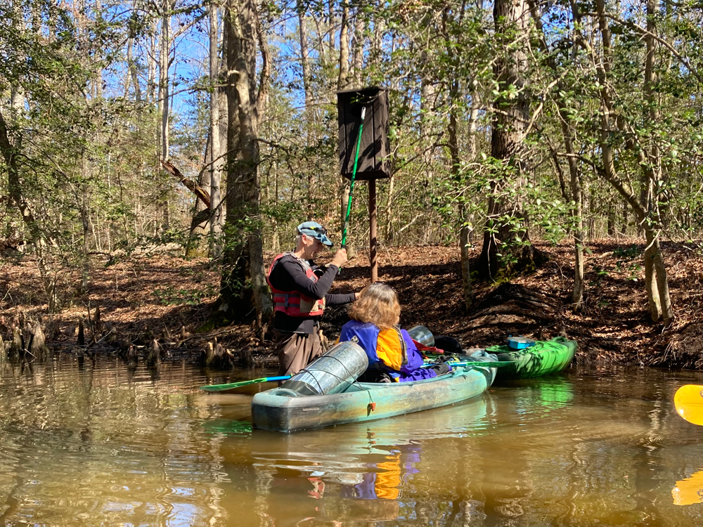 Submission of the Month