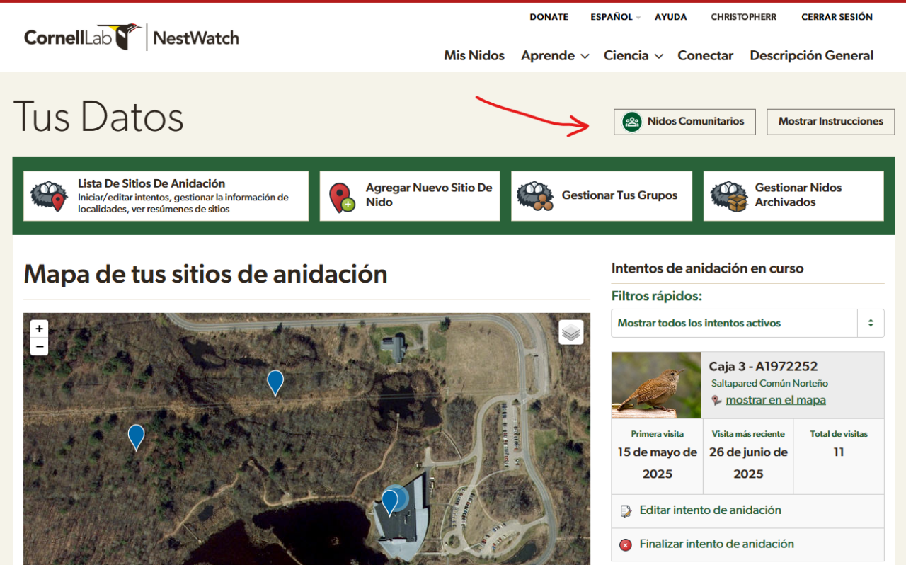 Una captura de pantalla de la página «Mis Nidos» del sitio web de NestWatch. Junto a las palabras «Tus Datos» y sobre la barra de herramientas —que incluye botones para ver la lista de sitios de anidación, añadir un nuevo sitio, gestionar grupos y gestionar nidos archivados—, se encuentra un botón con la etiqueta «Nidos Comunitarios» y un pequeño icono circular que muestra tres figuras humanas ilustradas en su interior. A la derecha de este botón hay otro que dice «mostrar instrucciones».