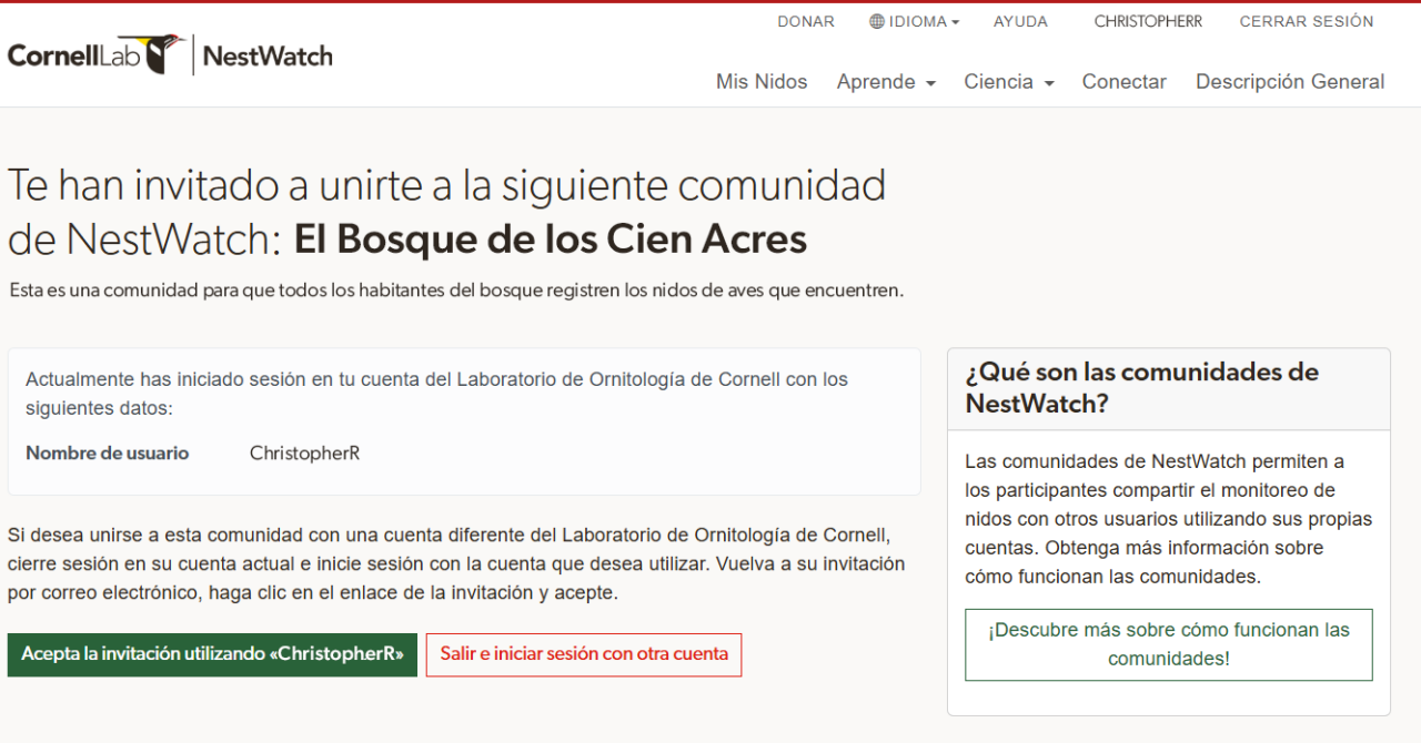 Una captura de pantalla del sitio web de NestWatch que muestra una invitación para una comunidad de NestWatch. El texto situado debajo de la cabecera habitual del sitio web dice: «Te han invitado a unirte a la siguiente comunidad de NestWatch: El Bosque de los Cien Acres. Esta es una comunidad para que todos los habitantes del bosque registren los nidos de aves que encuentren. Actualmente has iniciado sesión en tu cuenta del Laboratorio de Ornitologia de Cornell con los siguientes datos: Nombre de usario: ChristopherR. Si desea unirse a esta comunidad con una cuenta diferente del Laboratorio de Ornithologia de Cornell, cierre sesión en su cuenta actual e inicie sesión con la cuenta que desea utilizar. Vuelva a su invitación por correo electrónico, haga clic en el enlace de la invitación y acepte». Debajo de este texto hay dos botones con las leyendas «Acepta la invitación utilizando «ChristopherR» y «Salir e iniciar sesión con otra cuenta». A la derecha hay una barra lateral que dice: «¿Qué son las comunidades de NestWatch? Las comunidades de NestWatch permiten a los participantes compartir el monitoreo de nidos con otros usuarios utilizando sus propias cuentas. Obtenga más información sobre cómo funcionan las comunidades». Hay un botón que dice: «¡Descubre más sobre cómo funcionan las comunidades!».